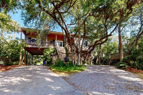 Natural Wonder House in Edisto Beach