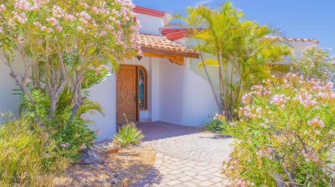 Property building, Garden view