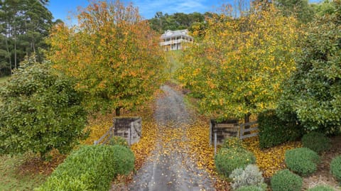 Natural landscape, Garden