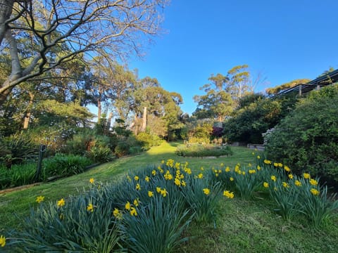 Spring, Natural landscape, Garden view