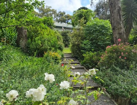 Natural landscape, Garden