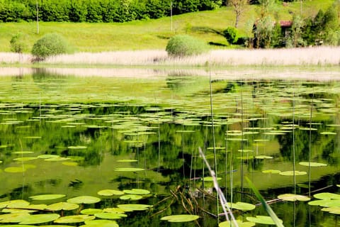 Agriturismo al Marter Farm Stay in Ledro