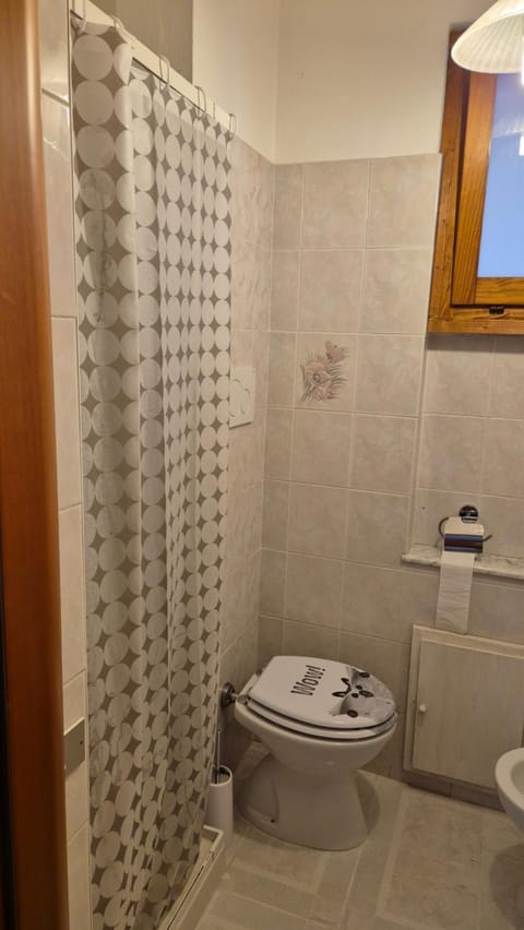 Shower, Toilet