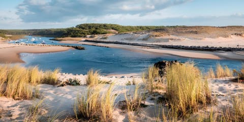 Natural landscape, Beach