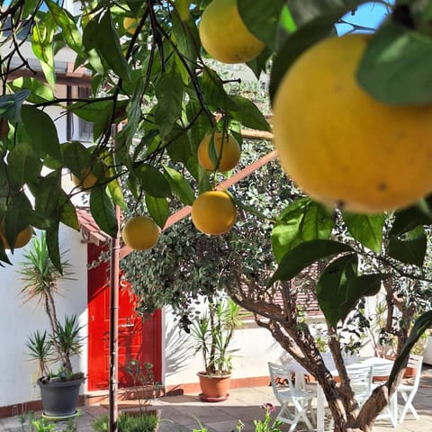 Giallo Limone B&B Bed and Breakfast in Salerno