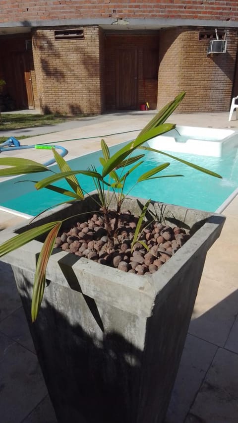 Garden, Pool view