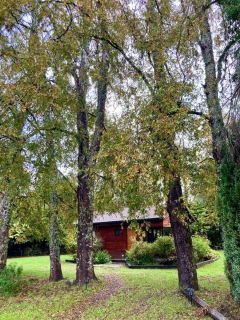 Cabaña entre árboles House in Valdivia