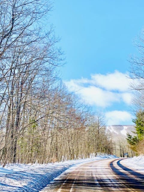 Catskill Cabin Hummingbird Suite 2 Appartamento in Highmount