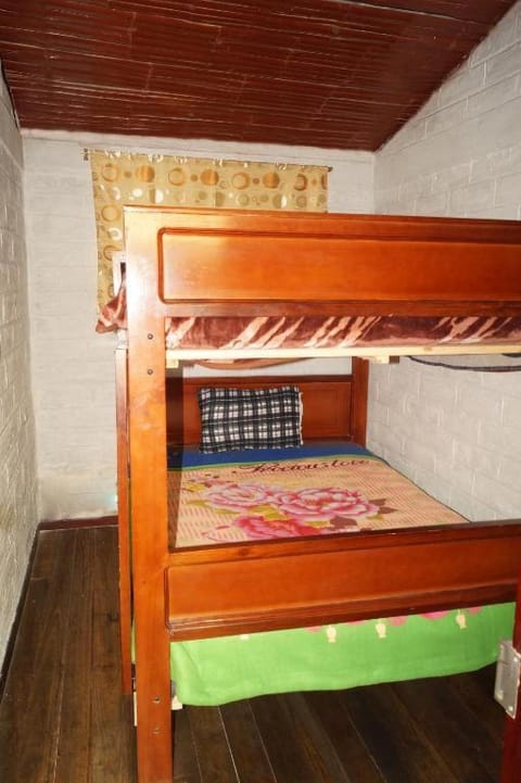 Bed, Photo of the whole room, Bedroom, bunk bed