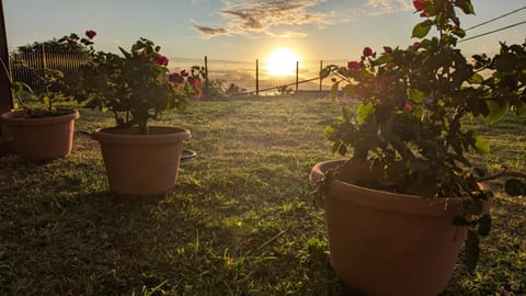 Garden, Garden view