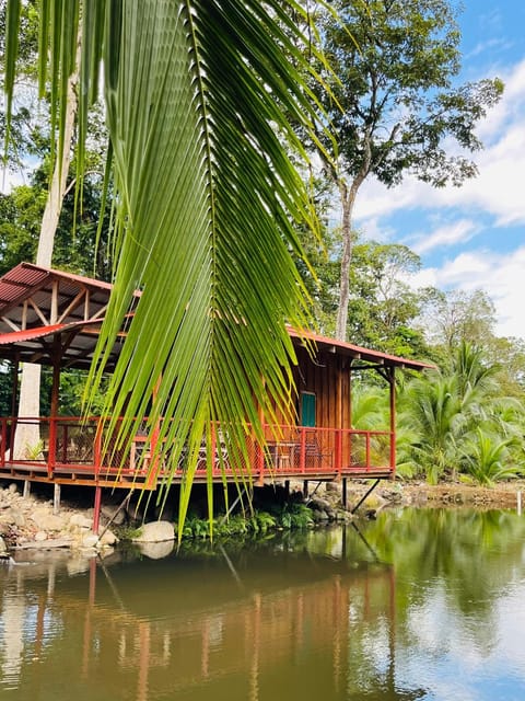 Cabaña Campground/ 
RV Resort in Heredia Province