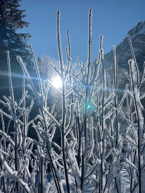 Natural landscape, Winter