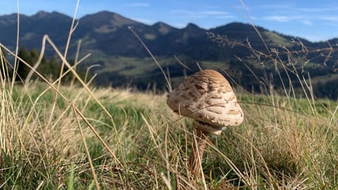 Day, Natural landscape, Mountain view