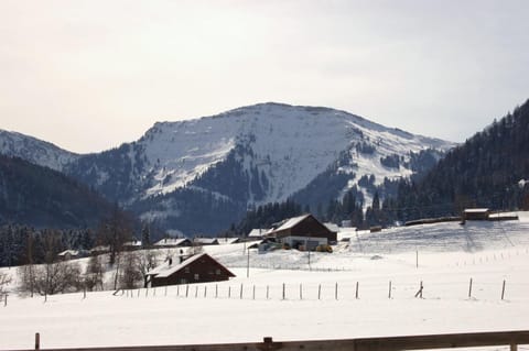 Natural landscape, Winter, View (from property/room), Mountain view