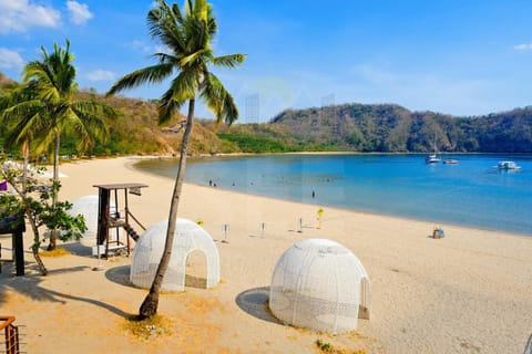 Natural landscape, Beach, Sea view