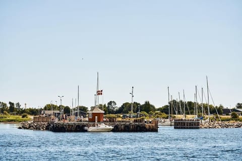 Strandgården på Skarø med færge fra Svendborg Villa in Svendborg