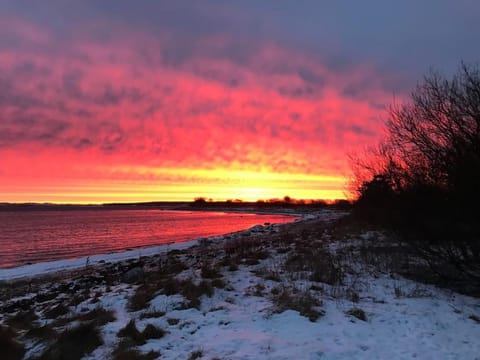 Strandgården på Skarø med færge fra Svendborg Villa in Svendborg