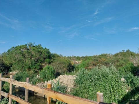 Logement cabane à la ferme Country House in Saintes-Maries-de-la-Mer