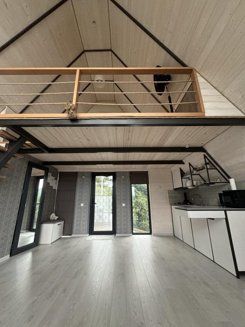 Kitchen or kitchenette, Photo of the whole room, Decorative detail