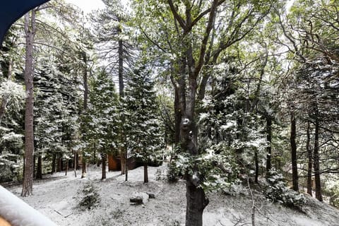 Bugsy's Hideout House in Lake Arrowhead