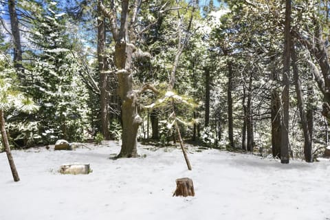 Bugsy's Hideout House in Lake Arrowhead