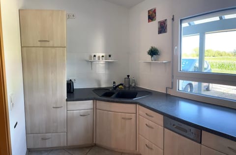 Kitchen or kitchenette, kitchen