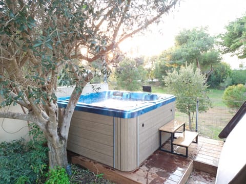 aqueduct villa cesarea jacuzzi Villa in Haifa District