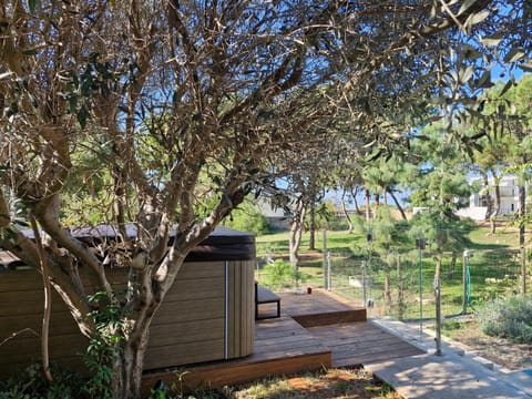 aqueduct villa cesarea jacuzzi Villa in Haifa District