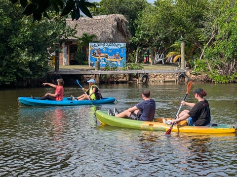 Activities, Activities