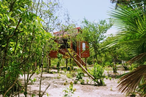 Palmento Grove Garifuna Eco-Cultural & Healing Institute Bed and Breakfast in Stann Creek District