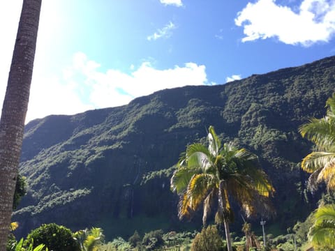 Chambres d hôtes des cascades Bed and Breakfast in Réunion