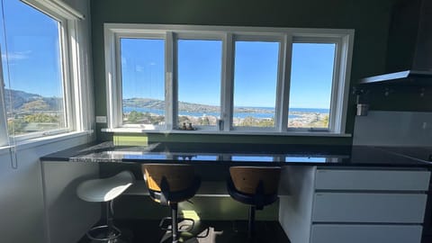 Roslyn sea view Room House in Dunedin