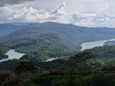 Hiking, River view