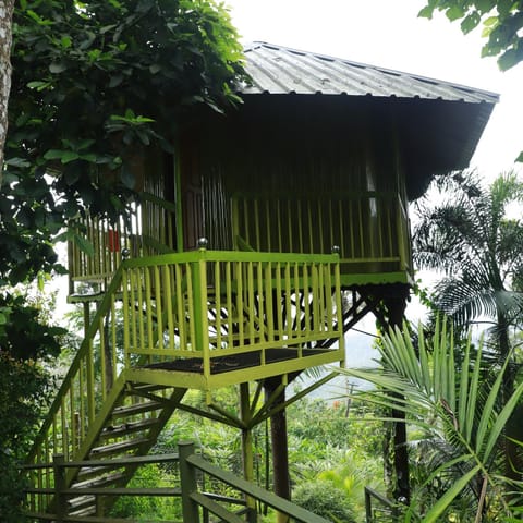 Nature villa Apartment in Kerala