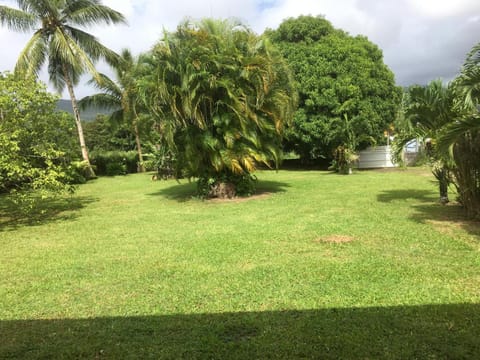 Natural landscape, Garden view