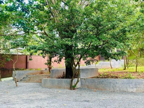 Celestia stays Villa in Kozhikode