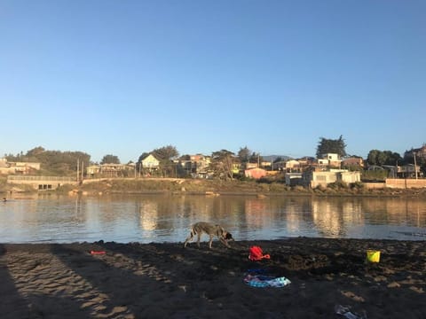 Day, Natural landscape, Beach, River view, Sea view