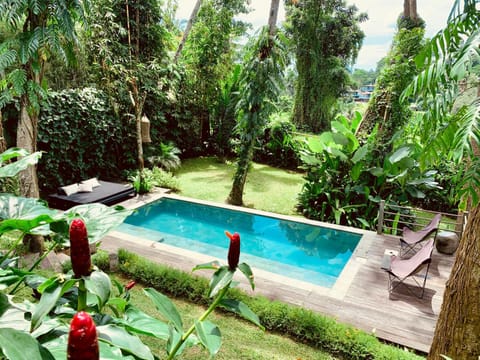 Natural landscape, Garden, Garden view, Pool view, Swimming pool, Swimming pool, sunbed