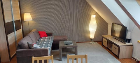 Apartament Studio Apartment in Lithuania