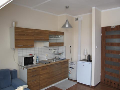 Apartament Studio Apartment in Lithuania