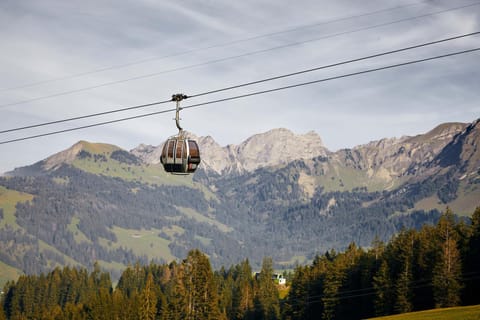 Erlebnis-Restaurant & Berghotel Rossweid Hotel in Canton of Lucerne