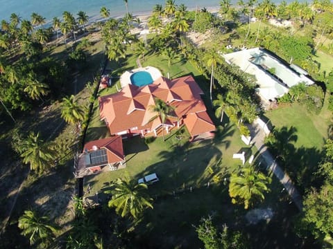 Property building, Bird's eye view