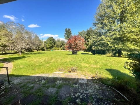 The Mod Cabin House in Bearsville