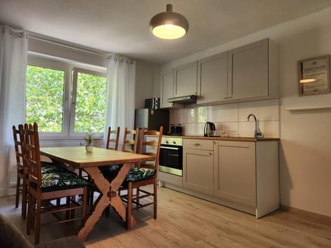 Kitchen or kitchenette, Dining area, oven, stove