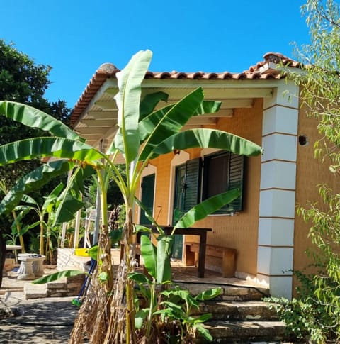 Property building, Garden, Garden view