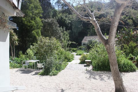 Garden, Garden view