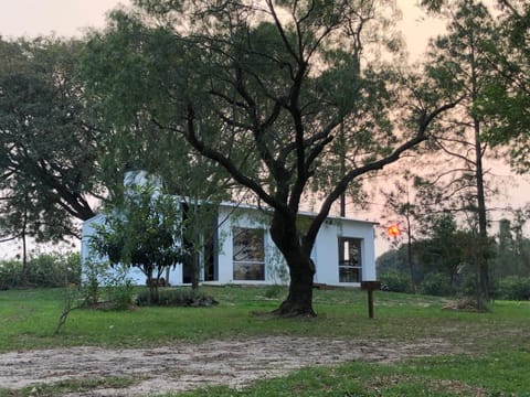 Property building, Natural landscape, Garden