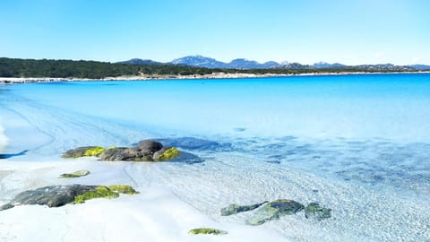 Beach, Sea view