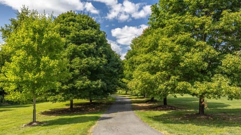 Luxury 15 acre Estate in Historic Purcellville, Virginia Villa in Catoctin