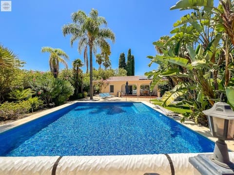 Garden, Pool view, Swimming pool, sunbed